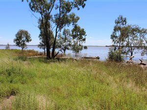 31.7 ha Land available in Vaalpark