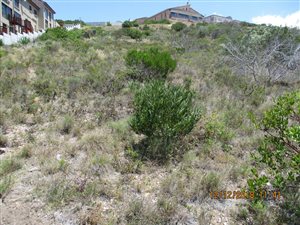 1097 m² Land available in Island View