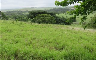 1433 m² Land available in Mtunzini