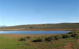 248 ha Farm in Barrydale