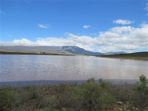 248 ha Farm in Barrydale