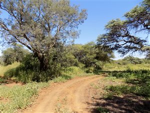 137 ha Farm in Groot Marico