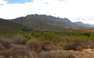 1197 m² Land available in Ashton