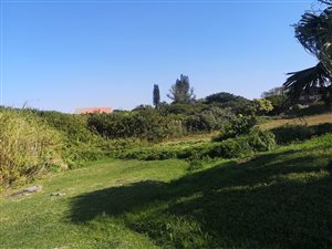 1438 m² Land available in Port Edward