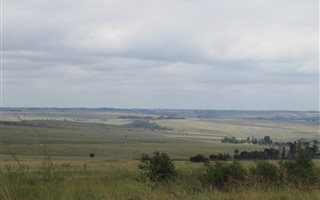 1000 m² Land available in Presidentsrus