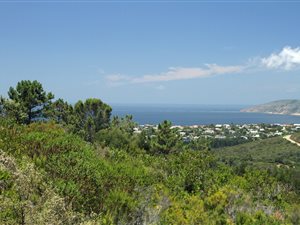 1682 m² Land available in Schoongezicht
