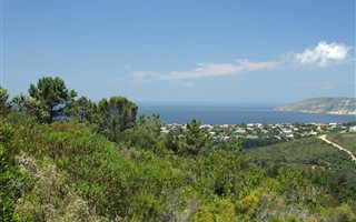 1682 m² Land available in Schoongezicht