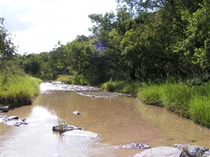 2000 ha Farm in Estcourt