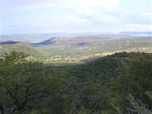 2000 ha Farm in Estcourt