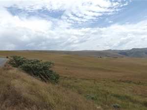 573 ha Farm in Machadodorp