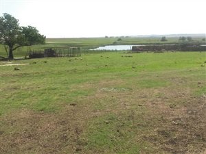 606 ha Farm in Bronkhorstspruit