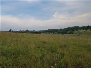 5 ha Land available in Donkerhoek
