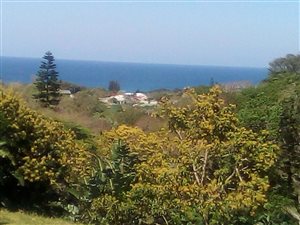 4047 m² Land available in Southport