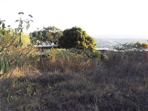 750 m² Land available in Faerie Glen