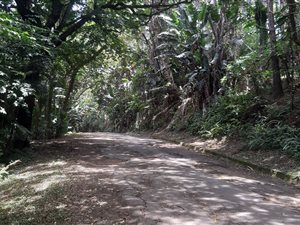 3004 m² Land available in Pumula