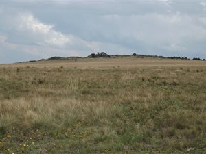 391.8 ha Farm in Machadodorp
