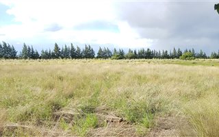 1030 m² Land available in Magersfontein Memorial Golf Estate
