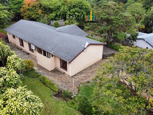 4 Bed House in Padfield Park