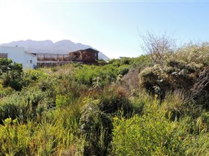 608 m² Land available in Pringle Bay