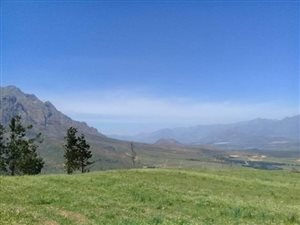 280 ha Farm in Worcester and surrounds