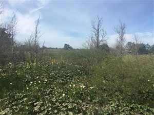 6028 m² Land available in Kruisfontein