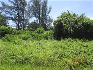 3605 m² Land available in Sezela