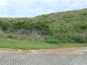 1163 m² Land available in Port Alfred