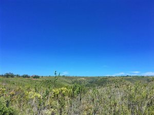 300 m² Land available in Gondwana Game Reserve