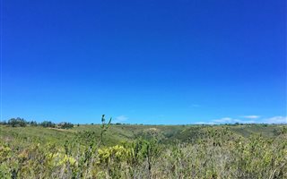 300 m² Land available in Gondwana Game Reserve