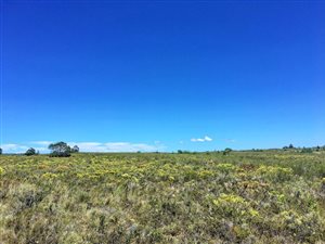 300 m² Land available in Gondwana Game Reserve