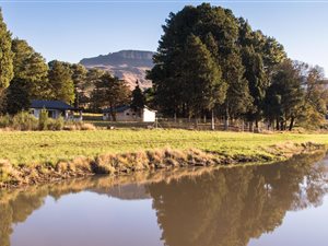 27.8 ha Smallholding in Kamberg