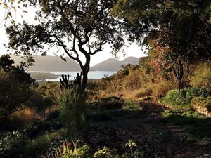 21 ha Farm in Broederstroom