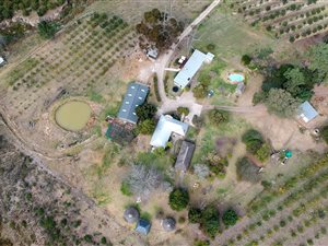9 ha Farm in Herbertsdale