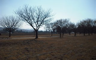 57 ha Land available in Nooitgedacht