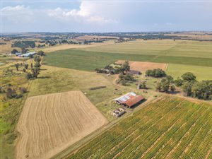 150 ha Farm in Randfontein