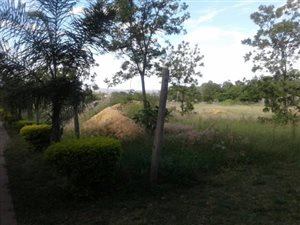 1 ha Land available in Shere