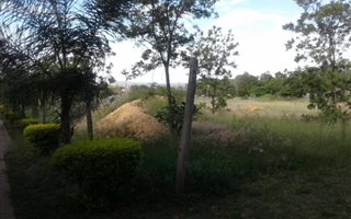 1 ha Land available in Shere