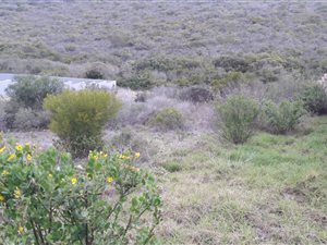 822 m² Land available in Seemeeu Park