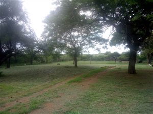 8.5 ha Farm in Bultfontein AH