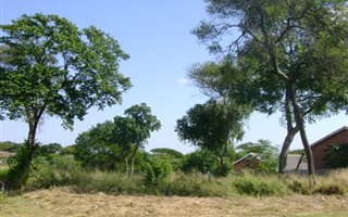 1088 m² Land available in Birdswood
