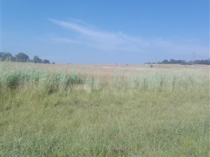20 ha Land available in Walkerville