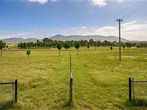 21.5 ha Farm in Seaview