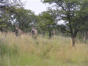 4 ha Land available in Kleinfontein