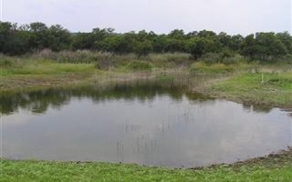 4 ha Land available in Kleinfontein