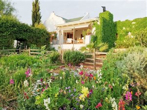4 ha Farm in Robertson