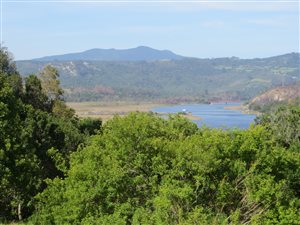 1359 m² Land available in Westford Bridge