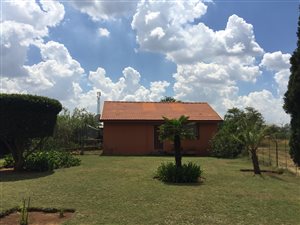 4 ha Farm in Rietfontein