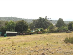 8.7 ha Farm in Rheenendal