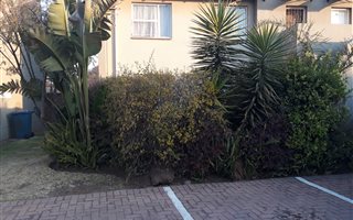 2 Bedroom Apartment in Impala Park