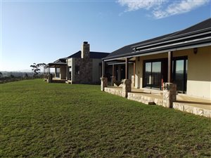 9.5 ha Farm in Stellenbosch Agricultural